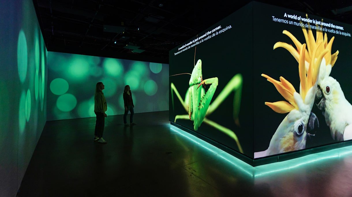 Exhibitions & Experiences | National Geographic Museum